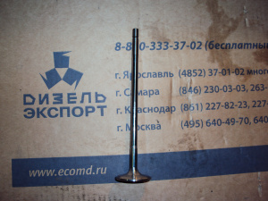 650.1007008 Клапан впускной