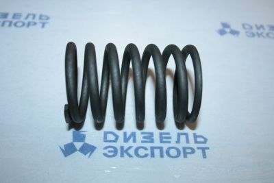 840.1007020 - Пружина клапана