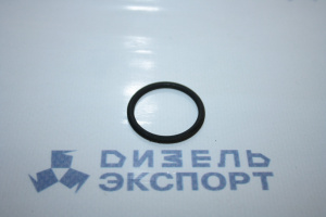 25.3111.3073 (024-028-25-2-2) - Кольцо