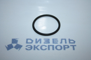 25.3111.2081 (032-036-25-2-1) - Кольцо