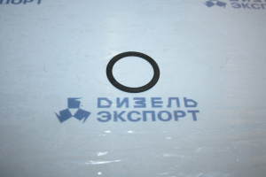 312313-П2 - Шайба