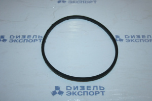 840.1012083-10 - Кольцо фильтра