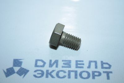 310111-П29 - Болт М10