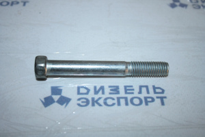 200325-П29 - Болт М10х80