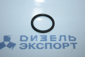 25.3111.2069 (021-025-25-2-1) - Кольцо