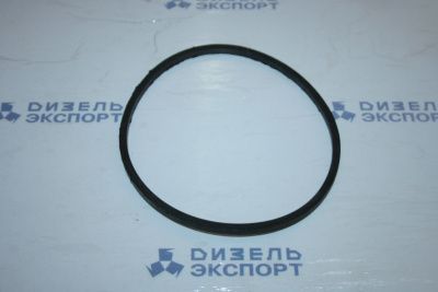 840.1012083-10 - Кольцо фильтра