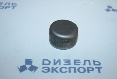 313933-П2 - Заглушка коленвала