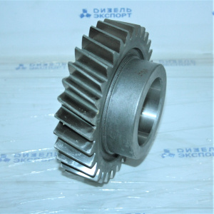 239-1701051-10 - Шестерня 3-й передачи (фото 1)