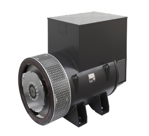 Генератор Mecc Alte ECO46-2S-4