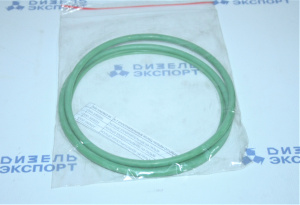 650.1002003-01 - РК уплотнительных колец
