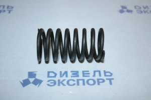 840.1007021 - Пружина клапана