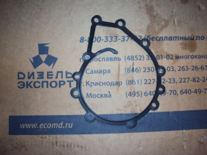 5340.1307048 Прокладка насоса водяного