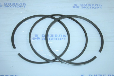 658.1004002 - К-т поршневых колец (фото 2)