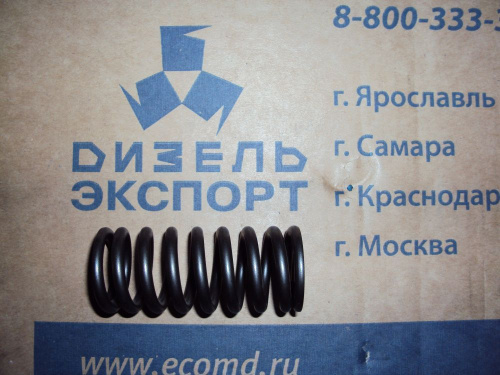650.1007020 Пружина клапана наружная