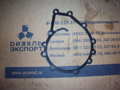 5340.1307048 Прокладка насоса водяного 