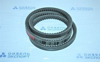 Ремень XPA-1235 Rubena (Чехия) - аналог 11х10х1230 зуб. (вод/насос ЯМЗ-850,10) 