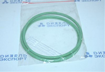 650.1002003-01 Р/к уплотнительных колец гильзы (1гильза) 