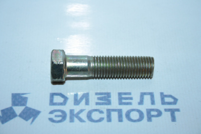 310213-П29 - Болт М10х40