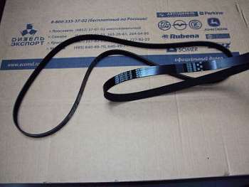 5362.3701170-10 Ремень привода генератора 