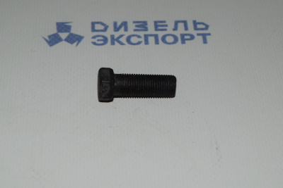 310130-П2  Болт М10Х1Х27 