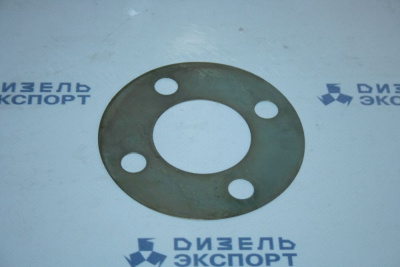 840.1029272-10  Пластина задняя (ТМЗ) 