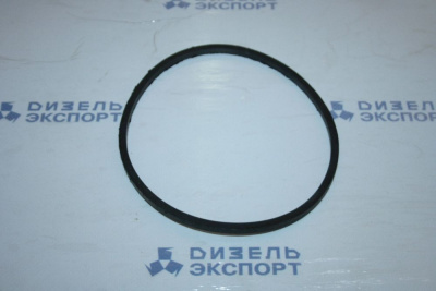 840.1012083-10  Кольцо фильтра (ТМЗ) 