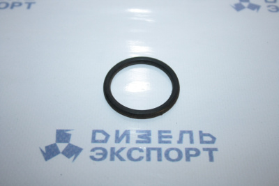 25.3111.2151 (032-038-36-2-1) - Кольцо