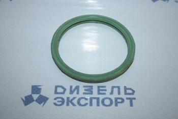 658.1306054-01 Уплотнитель термостата 