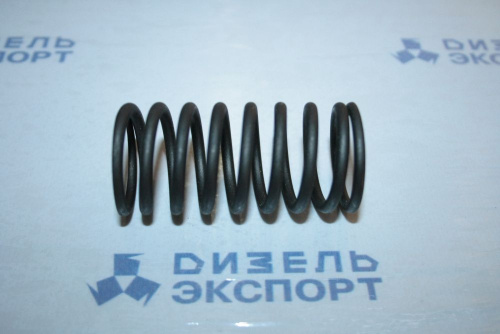 236-1007021 - Пружина клапана внутренняя