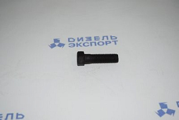 240-1029284-В Болт (ЯМЗ) 