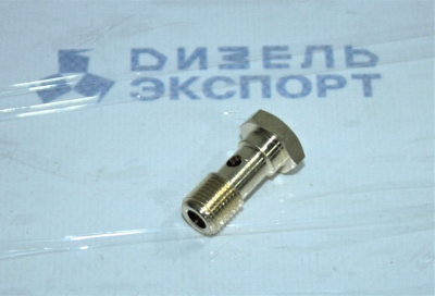 8.8972 Болт пустотелый 1631 01-М10х1-S01 