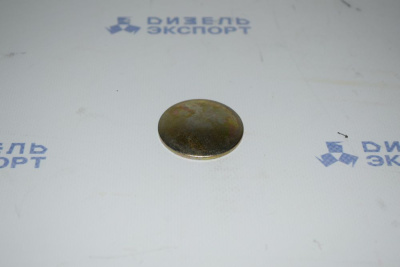 260316-П2 Заглушка 40.06 (ЯМЗ) 
