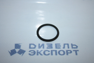 25.3111.3073 (024-028-25-2-2) - Кольцо