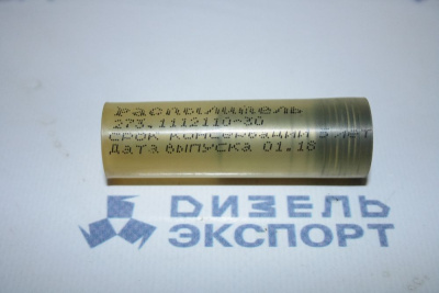 273.1112110-30  Распылитель (ЯЗДА) 