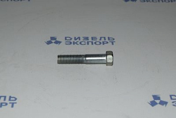 200319-П29 Болт М10х50 