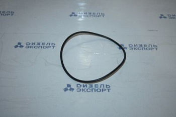 25.3111.2221 (120-126-36-2-1) Кольцо 