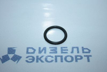 25.3111.2066 (018-022-25-2-1) Кольцо 