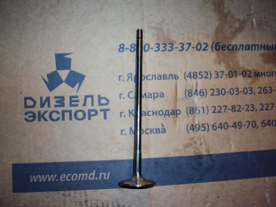 650.1007008 Клапан впускной 