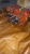 20241206_100450  gO6Bpn 20241206_100450  gO6Bpn
