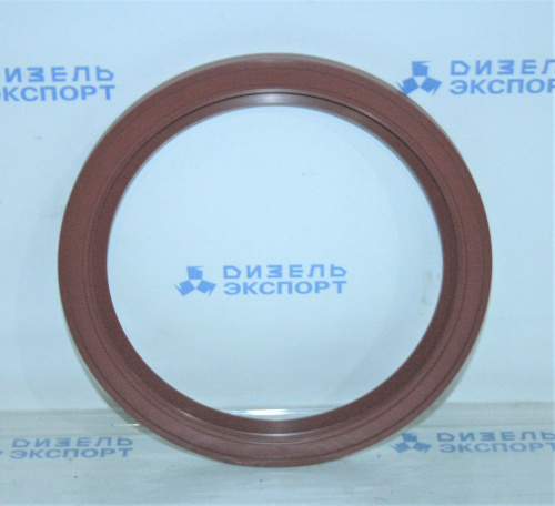 650.1005161 манжета коленвала задняя.JPG (1)