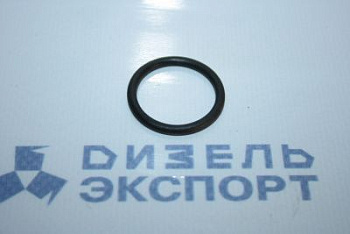 25.3111.2069 (021-025-25-2-1) Кольцо 