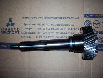 239-1701027-10   Вал первичный 