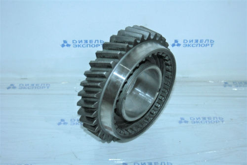 238А-1701131 - Шестерня 2-й передачи (фото 3)