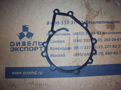 5340.1307048 Прокладка насоса водяного