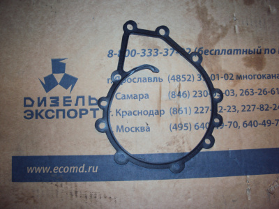 5340.1307048 Прокладка насоса водяного