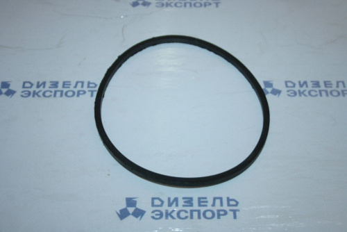 840.1012083-10 - Кольцо фильтра