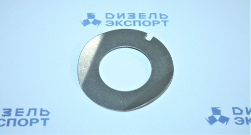 240-1005663 - Шайба стопорная (фото 1)